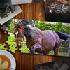 puzzle cheval